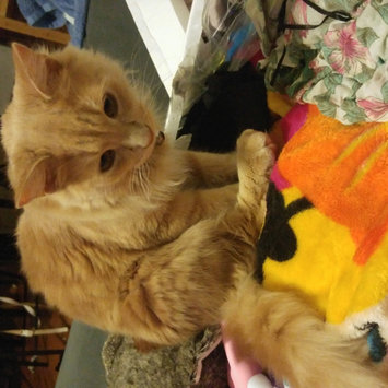 Photo of Purina® DentaLife Chicken Dental Cat Treats uploaded by Brittany M.