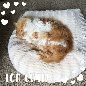 Photo uploaded to #FurryFriends by Farah Y.