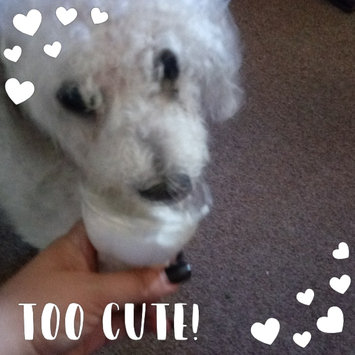 Photo uploaded to #FurryFriends by Mary Ann Y.