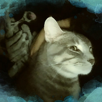 Photo uploaded to #FurryFriends by Rosa C.