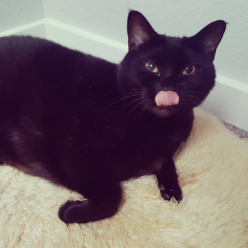 Photo uploaded to #FurryFriends by Katherine S.