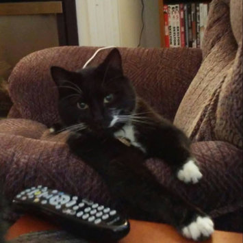 Photo uploaded to #FurryFriends by Debbie M.
