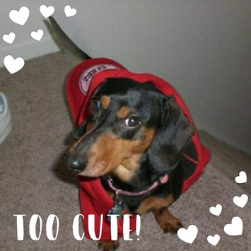 Photo uploaded to #FurryFriends by Gabby D.