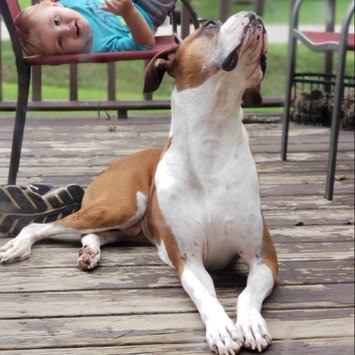 Photo uploaded to #FurryFriends by Johnnie H.