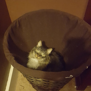Photo uploaded to #FurryFriends by Jessica Z.