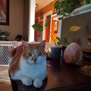 Photo uploaded to #FurryFriends by miriam R.