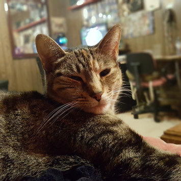 Photo uploaded to #FurryFriends by Destiny W.