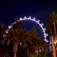 The Flamingo Las Vegas Reviews 2019