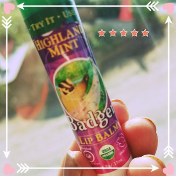 Photo of BADGER® Classic Organic Lip Balms uploaded by Tina T.