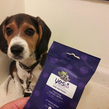 Photo of Yes To Blueberries Cleansing Facial Wipes uploaded by Anguie M.