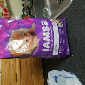 Photo of Iams™ Proactive Health™ Healthy Kitten Cat Food uploaded by Rhianna L.
