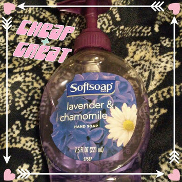 Photo of Softsoap® Crisp Cucumber & Melon Liquid Hand Soap uploaded by Tracie C.