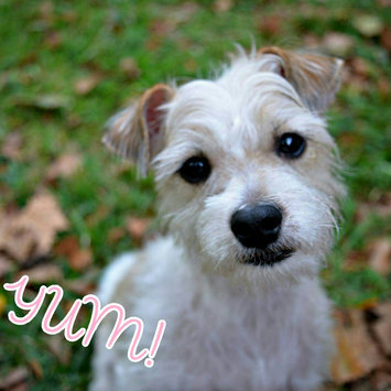 Photo of Simply NourishA Healthy Weight Natural Adult Dog Food uploaded by Meagan A.
