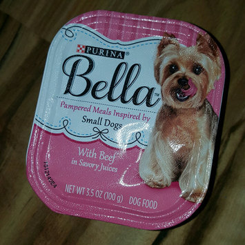 Photo of Purina® Bella Small Dog Food - Filet Mignon size: 3.5 Oz uploaded by J B.