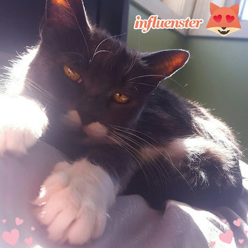 Photo of PURINA ONE® Sensitive Systems Dry Cat Food uploaded by Shayleigh G.