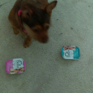 Photo of Purina® Bella Small Dog Food - Filet Mignon size: 3.5 Oz uploaded by Jennifer T.
