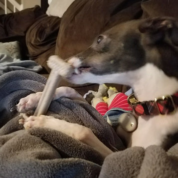 Photo of CBath BULLIBONE Pet Products Beef-Flavored Nylon Dog Chew, Large uploaded by Mandi W.