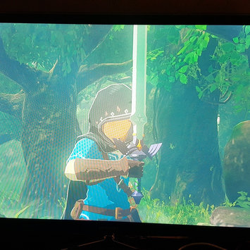 Photo of The Legend of Zelda: Breath of the Wild (Wii U) uploaded by Ali J.