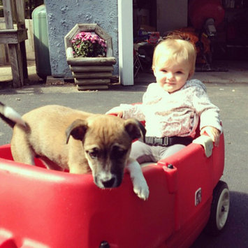 Photo of Step2 Red Wagon for Two uploaded by Kayla E.
