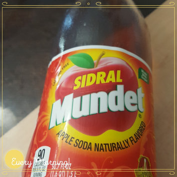 Photo of Jarritos Apple 1.5 Lt Pack Of 8 uploaded by Mariela A.