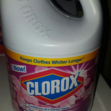 Photo of Clorox® Fresh Meadow® Scented Bleach uploaded by Danielle H.