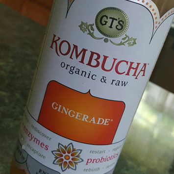Photo of GT's Raw Organic Kombucha Gingerade uploaded by Anita M.