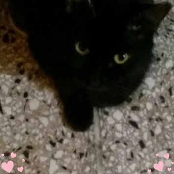 Photo of Pounce Cat Treats uploaded by Nicole Camilo c.