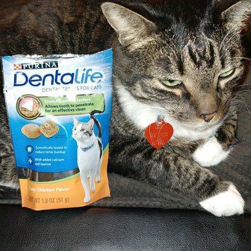 Photo of Purina® DentaLife Chicken Dental Cat Treats uploaded by Samantha M.