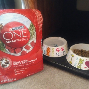 Photo of PURINA ONE® SmartBlend Adult Dog Food Small Bites Beef & Rice Formula uploaded by Amanda R.