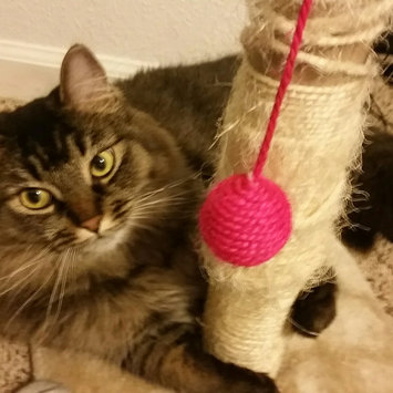 Photo of Pounce Cat Treats uploaded by James T.