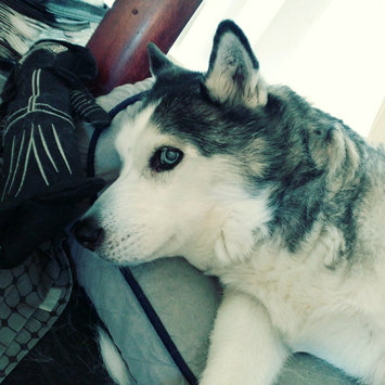 Photo of Burt's Bees Burts Itch Soothing Dog Spray uploaded by Rachel W.
