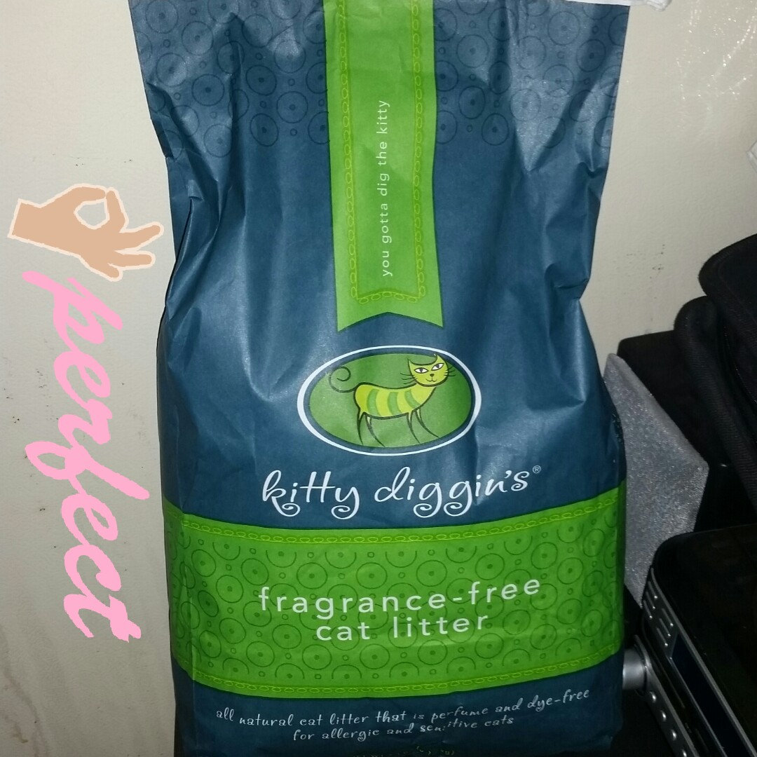 KITTY DIGGIN'S Frangrance Free Cat Litter 7 LB BAG Reviews 2019