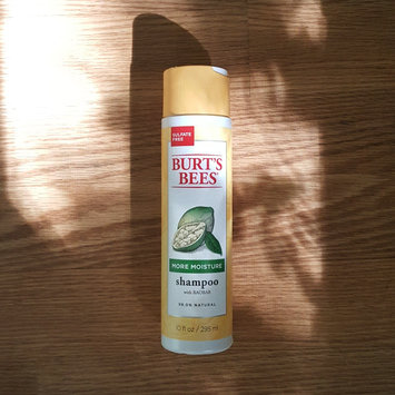 Photo of Burt's Bees More Moisture Shampoo uploaded by Justin S.