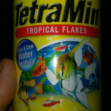 Photo of Tetra TetraMin Large Tropical Flakes uploaded by Jamie H.