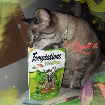 Photo of TEMPTATIONS™ MixUps Treats For Cats Catnip Fever Cat Treats uploaded by kandiss J.