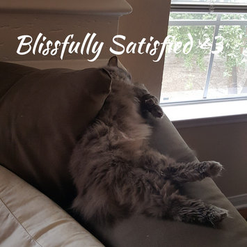 Photo of Merrick Backcountry Game Bird Recipe Dry Cat Food, 6 lb. uploaded by Sarah B.