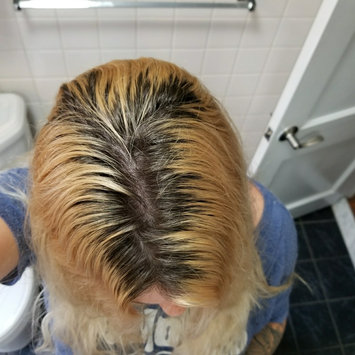 Photo of Clairol Professional BW2 Powder Lightener uploaded by Lea S.