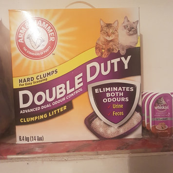 Photo of ARM & HAMMER™ Clump & Seal Complete Odor Sealing Clumping Litter Multi-Cat uploaded by Claudette F.