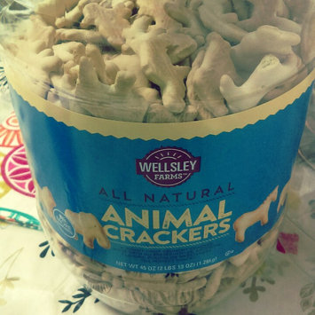 Photo of Wellsley Farms Natural Animal Crackers 45 oz uploaded by Leorys T.