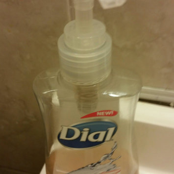 Photo of Dial® Liquid Hand Soap, Coconut Water & Mango uploaded by Ramonita R.