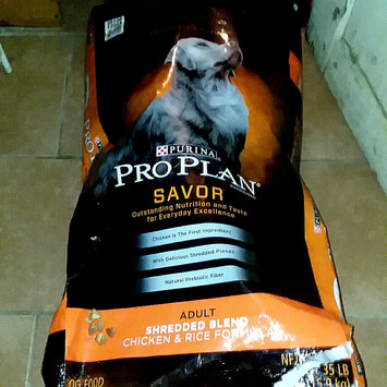 Photo of PRO PLAN® SAVOR® ADULT Shredded Blend Chicken & Rice Formula uploaded by Lakeshia R.