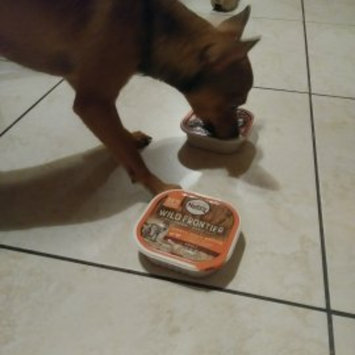 Photo of Nutro™ Wild Frontier™ Small Prey Recipe Adult Dog Food 3.5 oz. Tray uploaded by Virag M.
