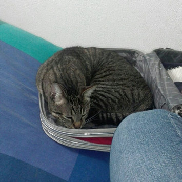 Photo of PURINA ONE® Indoor Advantage Hairball & Healthy Weight Cat Food uploaded by Jamila A.
