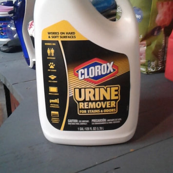 Photo of Clorox® Urine Remover uploaded by Daphne W.