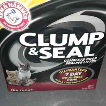 Photo of ARM & HAMMER™ Clump & Seal Complete Odor Sealing Clumping Litter Multi-Cat uploaded by Daphne W.