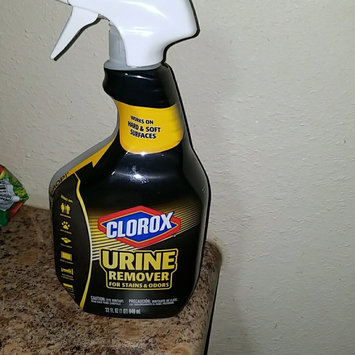 Photo of Clorox® Urine Remover uploaded by Virginia O.