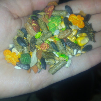 Photo of 8In1 Pet Products: Treat For Small Animals Wild Harvest Mixed Berry & Nut Treat, 11 Oz uploaded by Micaela G.