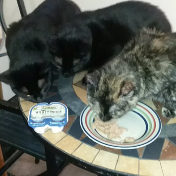 Photo of Nutro™ Wild Frontier™ Ancestral Inspired Pate Real Salmon & Trout Recipe Adult Cat Food 2-1.32 oz. Trays uploaded by Shalayna G.