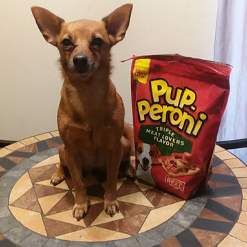 Photo of Pup-Peroni Triple Meat Lovers Flavor 25 oz. uploaded by Shalayna G.