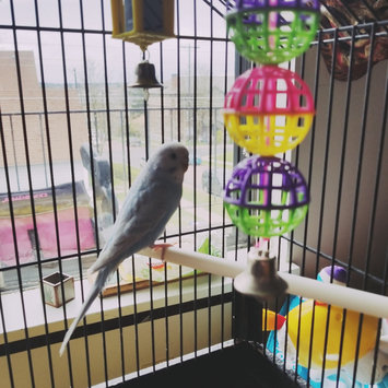 Photo of Planet Petco Crumbled Pine Bird Litter, 10 lbs. uploaded by Alexandria B.